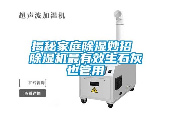 揭秘家庭除濕妙招 除濕機(jī)最有效生石灰也管用