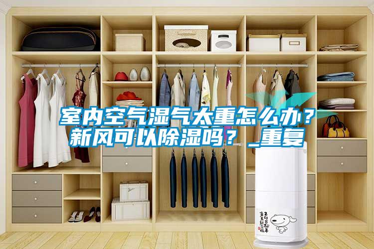 室內空氣濕氣太重怎么辦？新風可以除濕嗎？_重復