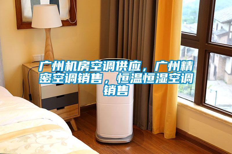 廣州機房空調供應，廣州精密空調銷售，恒溫恒濕空調銷售