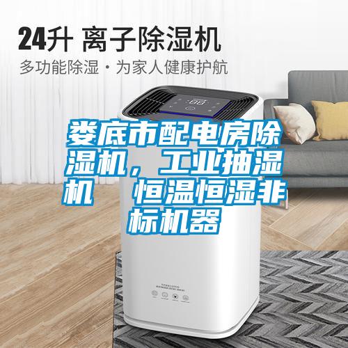 婁底市配電房除濕機，工業抽濕機  恒溫恒濕非標機器