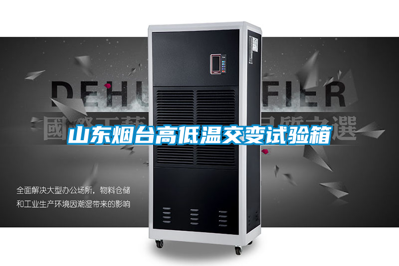山東煙臺(tái)高低溫交變?cè)囼?yàn)箱