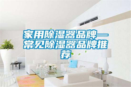 家用除濕器品牌—常見除濕器品牌推薦