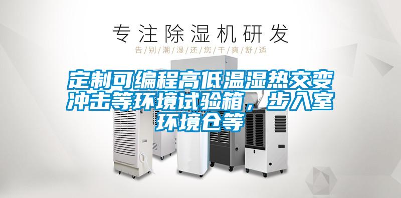定制可編程高低溫濕熱交變沖擊等環(huán)境試驗箱，步入室環(huán)境倉等