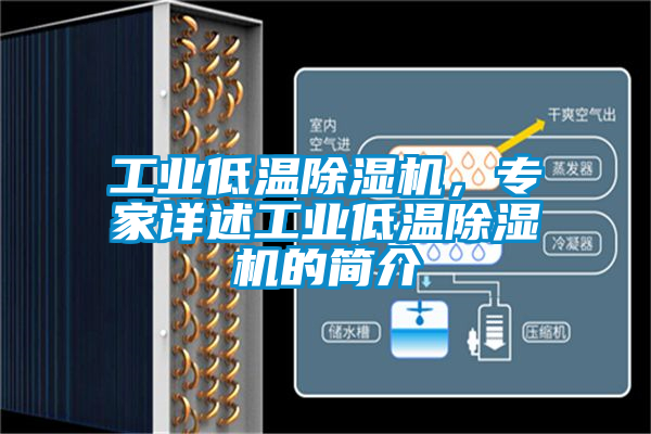 工業低溫除濕機，專家詳述工業低溫除濕機的簡介