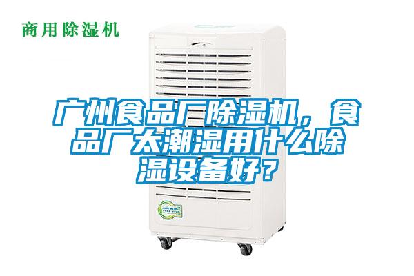 廣州食品廠除濕機，食品廠太潮濕用什么除濕設備好？