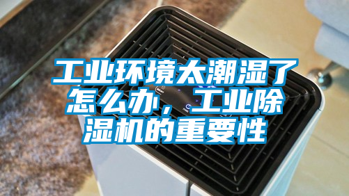工業環境太潮濕了怎么辦，工業除濕機的重要性