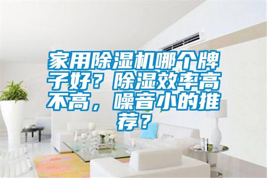 家用除濕機哪個牌子好？除濕效率高不高，噪音小的推薦？