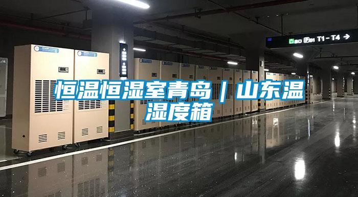 恒溫恒濕室青島｜山東溫濕度箱