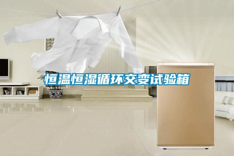 恒溫恒濕循環(huán)交變?cè)囼?yàn)箱