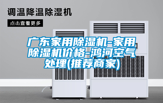 廣東家用除濕機(jī)-家用除濕機(jī)價格-鴻河空氣處理(推薦商家)