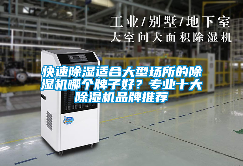 快速除濕適合大型場所的除濕機哪個牌子好？專業十大除濕機品牌推薦