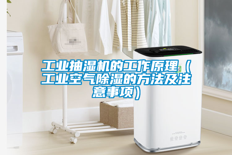 工業(yè)抽濕機(jī)的工作原理（工業(yè)空氣除濕的方法及注意事項(xiàng)）