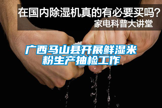 廣西馬山縣開展鮮濕米粉生產(chǎn)抽檢工作