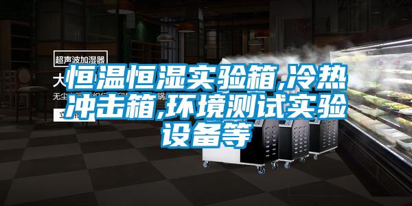 恒溫恒濕實驗箱,冷熱沖擊箱,環境測試實驗設備等