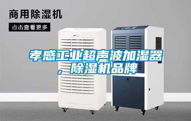 孝感工業(yè)超聲波加濕器，除濕機品牌