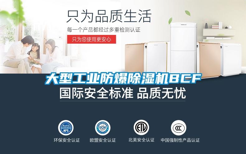 大型工業防爆除濕機BCF