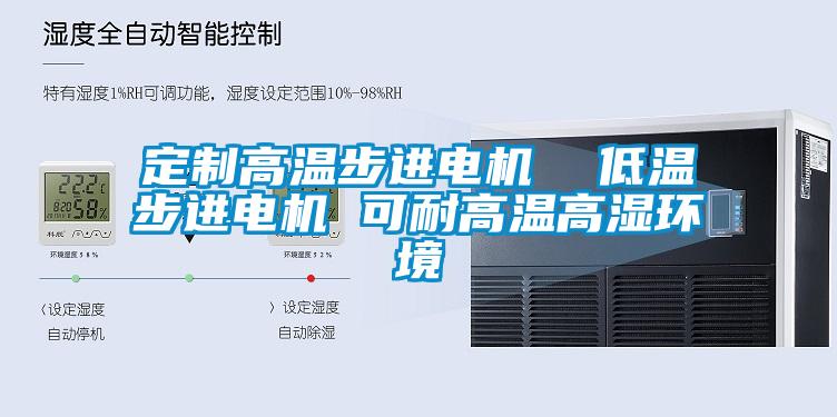 定制高溫步進電機  低溫步進電機 可耐高溫高濕環境