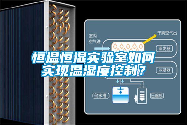 恒溫恒濕實驗室如何實現溫濕度控制？