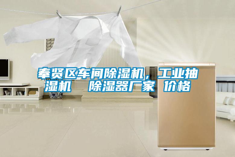 奉賢區車間除濕機，工業抽濕機  除濕器廠家 價格