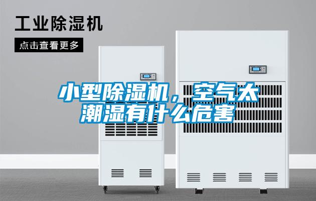 小型除濕機，空氣太潮濕有什么危害