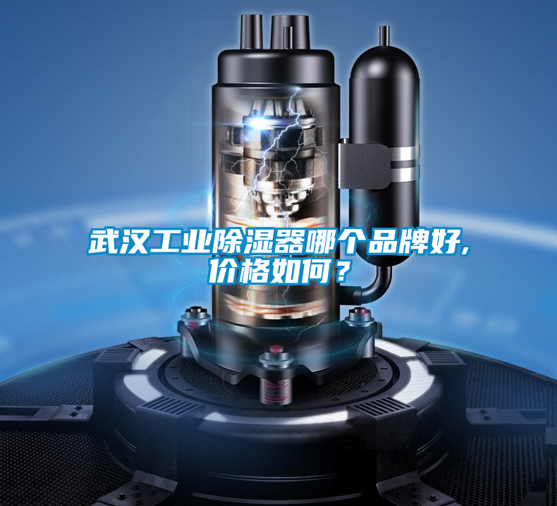 武漢工業(yè)除濕器哪個(gè)品牌好,價(jià)格如何？