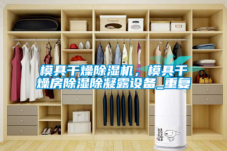模具干燥除濕機，模具干燥房除濕除凝露設備_重復