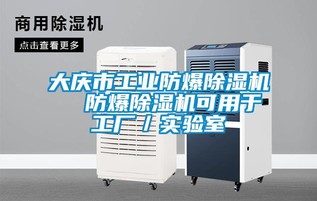 大慶市工業防爆除濕機  防爆除濕機可用于工廠／實驗室