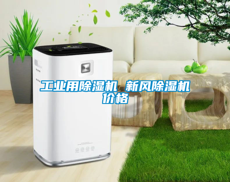 工業用除濕機 新風除濕機價格