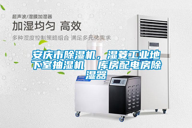 安慶市除濕機，濕菱工業(yè)地下室抽濕機  庫房配電房除濕器
