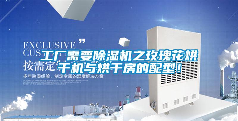 工廠需要除濕機之玫瑰花烘干機與烘干房的配型！