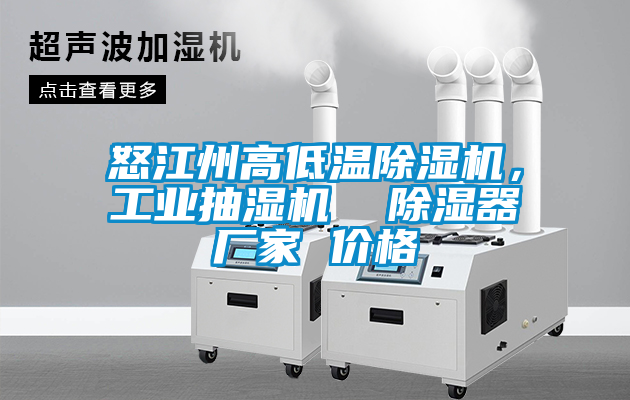 怒江州高低溫除濕機，工業(yè)抽濕機  除濕器廠家 價格