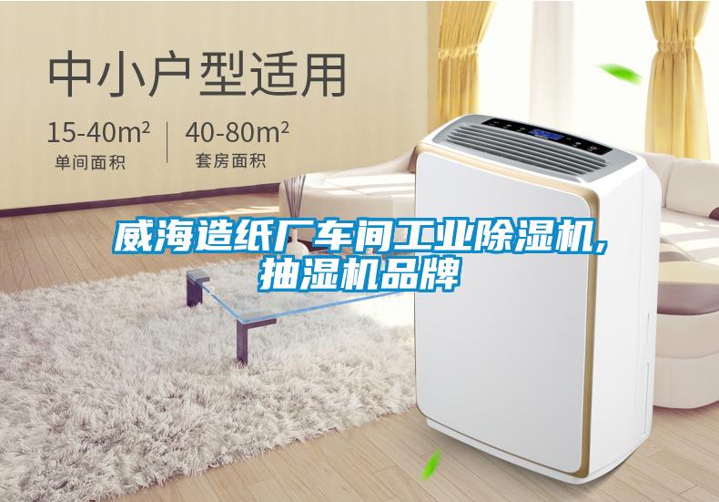 威海造紙廠車間工業除濕機,抽濕機品牌