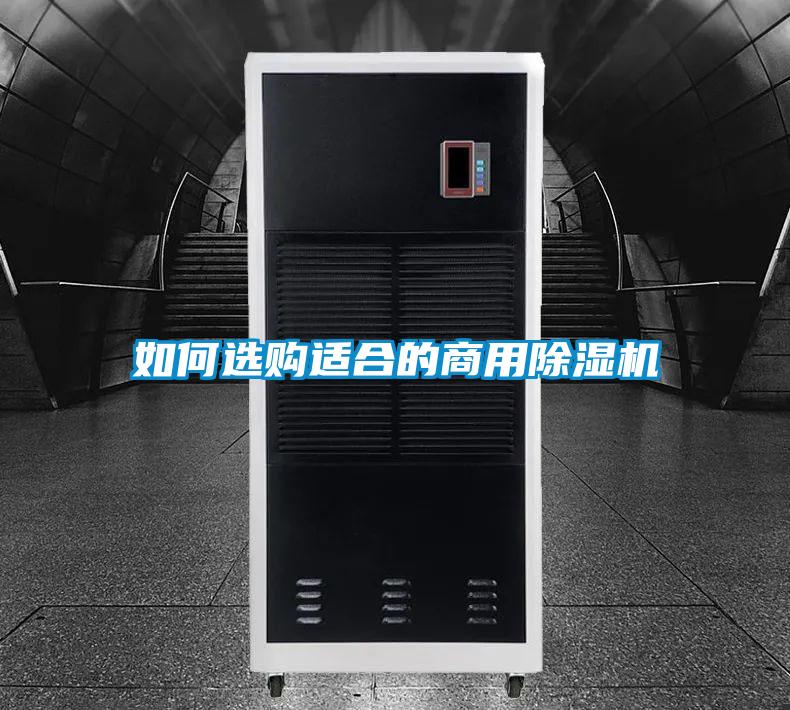 如何選購適合的商用除濕機