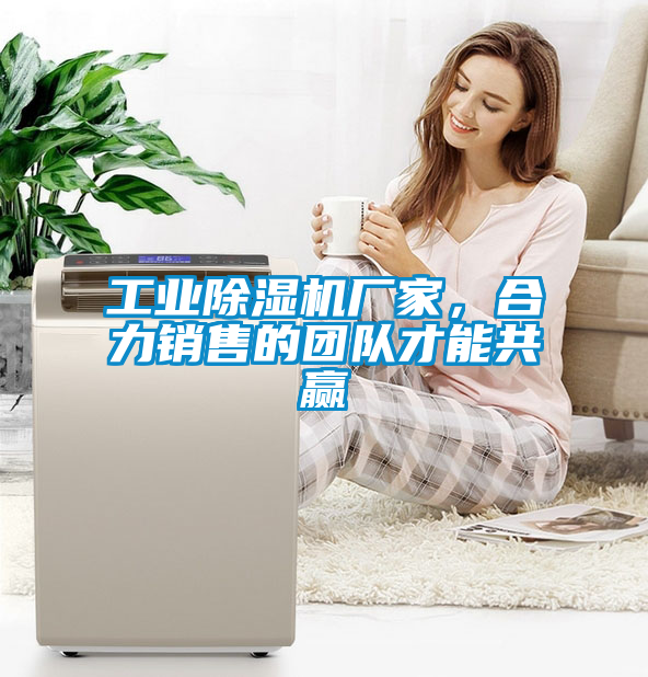 工業除濕機廠家，合力銷售的團隊才能共贏