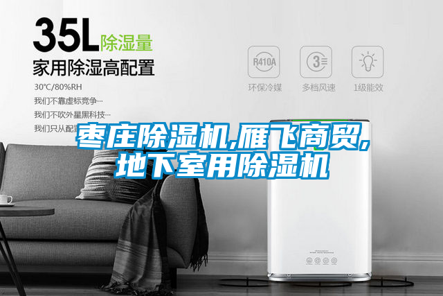 棗莊除濕機,雁飛商貿,地下室用除濕機