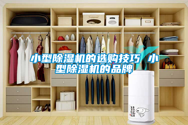 小型除濕機的選購技巧 小型除濕機的品牌