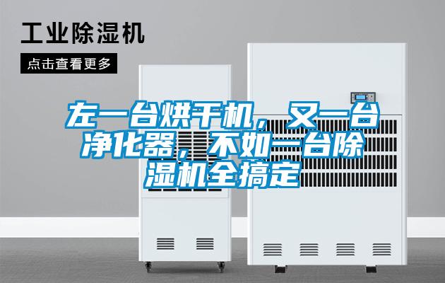 左一臺烘干機，又一臺凈化器，不如一臺除濕機全搞定
