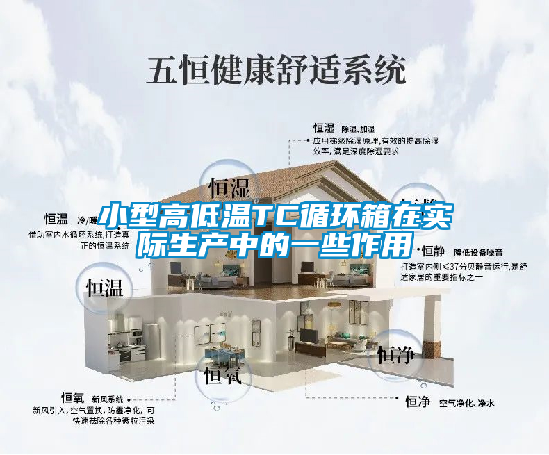小型高低溫TC循環箱在實際生產中的一些作用