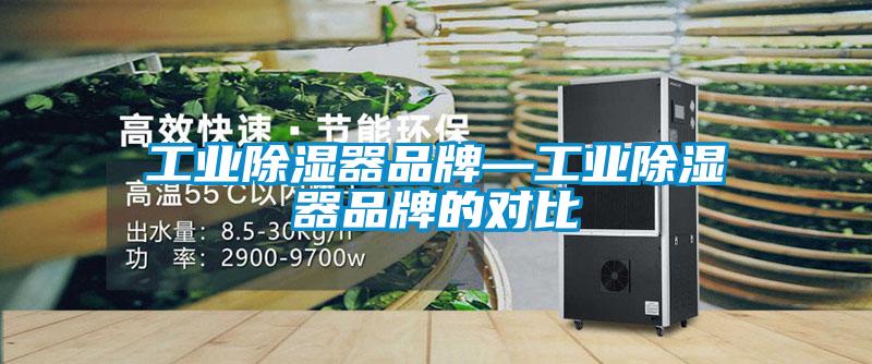 工業(yè)除濕器品牌—工業(yè)除濕器品牌的對比