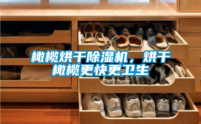 橄欖烘干除濕機，烘干橄欖更快更衛生