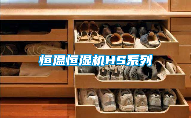 恒溫恒濕機HS系列