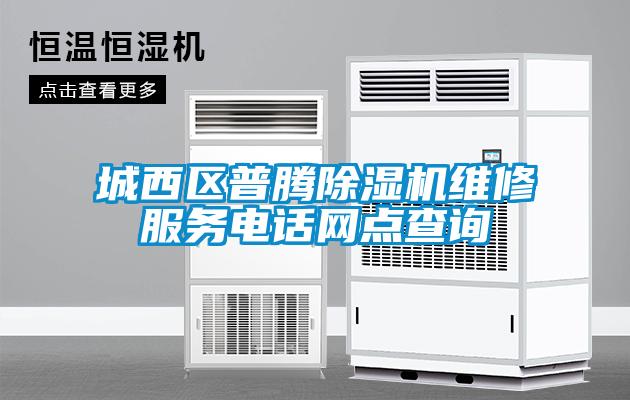 城西區普騰除濕機維修服務電話網點查詢