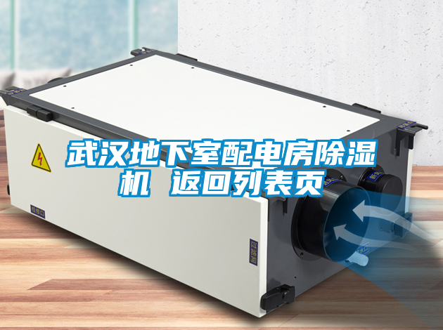 武漢地下室配電房除濕機 返回列表頁