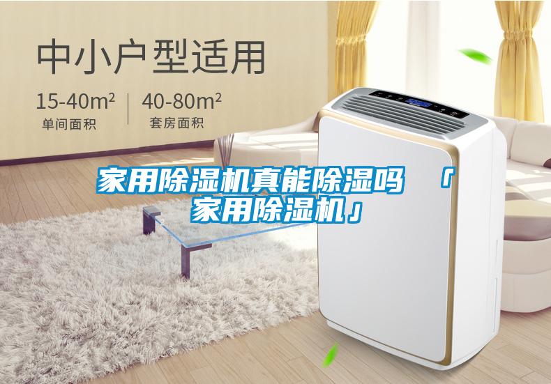 家用除濕機真能除濕嗎 「家用除濕機」