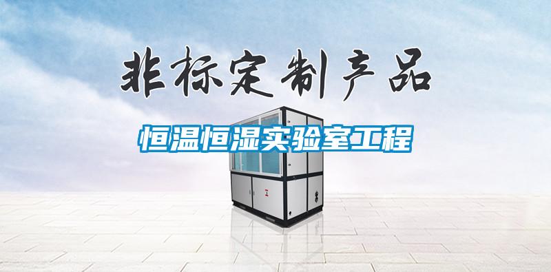 恒溫恒濕實(shí)驗(yàn)室工程