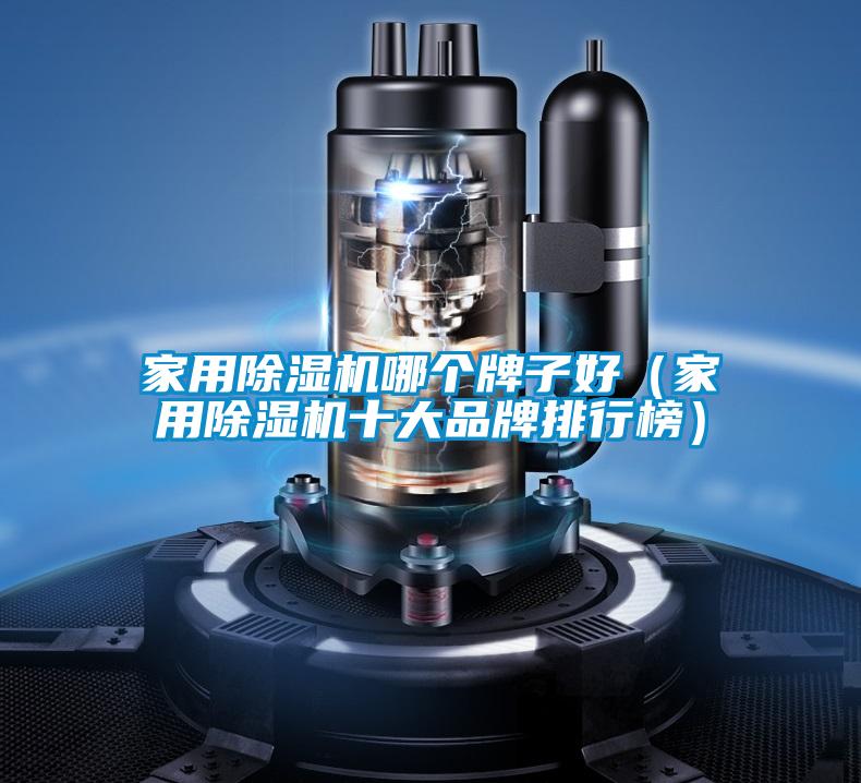 家用除濕機哪個牌子好（家用除濕機十大品牌排行榜）