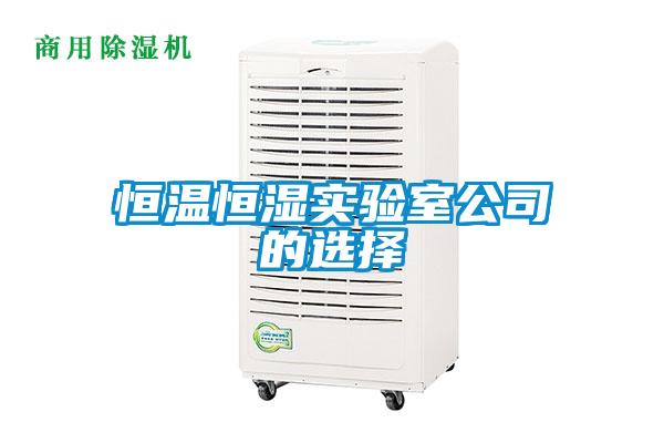 恒溫恒濕實驗室公司的選擇