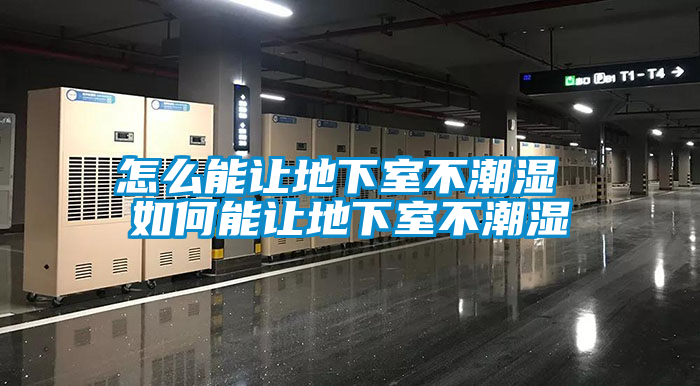 怎么能讓地下室不潮濕 如何能讓地下室不潮濕
