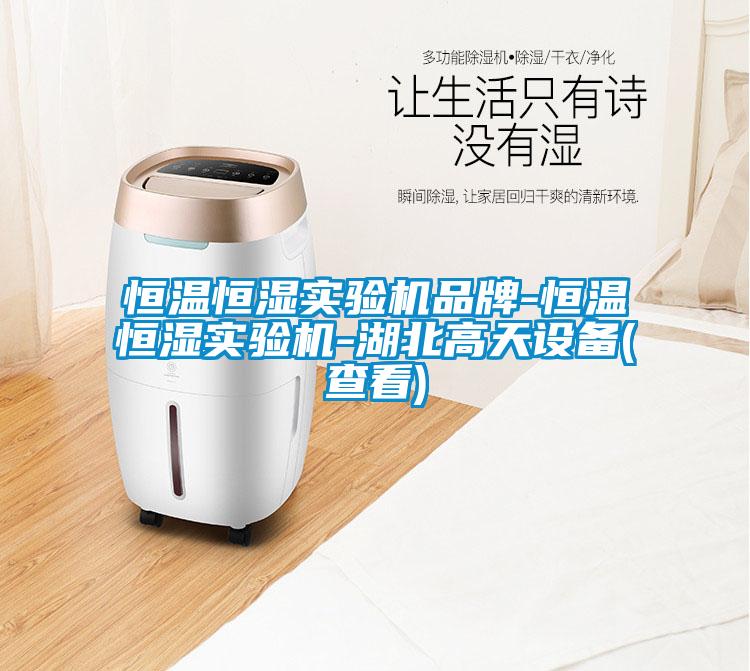 恒溫恒濕實驗機品牌-恒溫恒濕實驗機-湖北高天設備(查看)