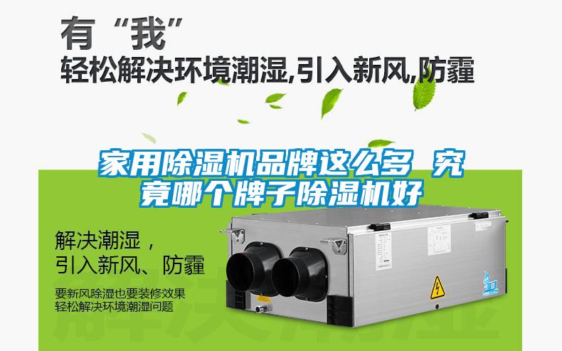 家用除濕機品牌這么多 究竟哪個牌子除濕機好